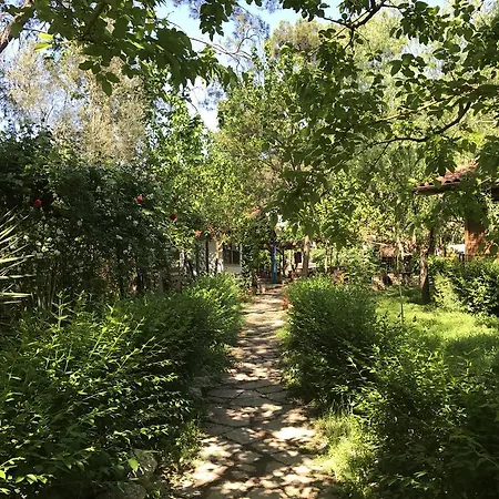 Eskibeyaz/olympos *